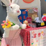 六岁幼儿园种子选手