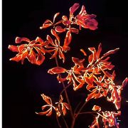 山外青山楼外楼