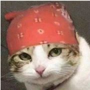 大家一起登dua 郎