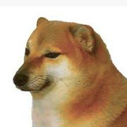 斐斐