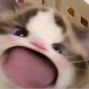 蓝色天空