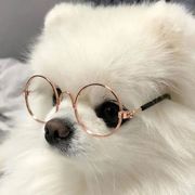 李惜离