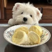 无敌光头屎壳郎