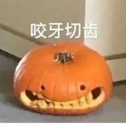 神奈有什么坏心思呢