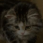 白日梦里看海