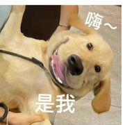缘丶妙不可言