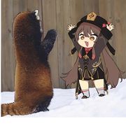 锤子锤锤子