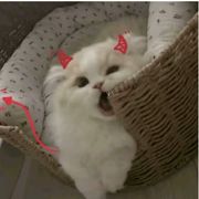 沐辞