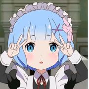 我是蕾姆世界第一的英雄