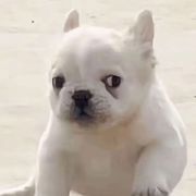 头号玩家