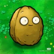 坚果强