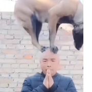 大家