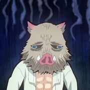 桉晗