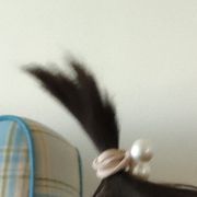 亢蒙