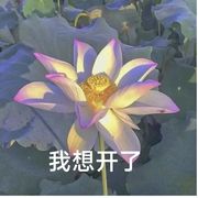 莫的莫不得