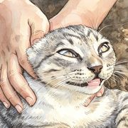 画舫夷犹湾百转