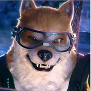 🐺 翻车大白狼