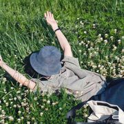 杏花酿酒，客官饮否