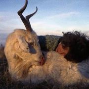 手机用户23271864