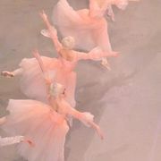 密阿玛斯的骑士