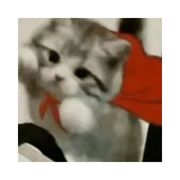 清婳