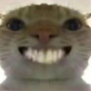 阿斯顿法国红酒看