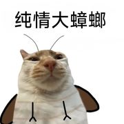 大白猫