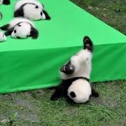 谁家那小谁