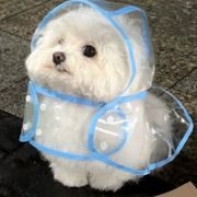 伊栗子🌰