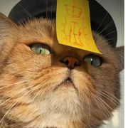 出了名的一毛不拔