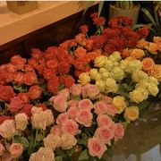 拾花间