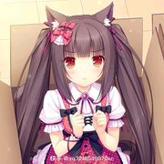 萌猫