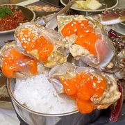惹人爱的小可怜