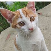 好好