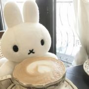 小宋摇啊摇