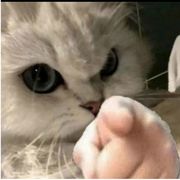 我们都是小怪兽