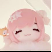 暖暖毛球
