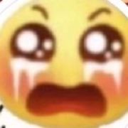 User355340156