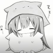 呆呆