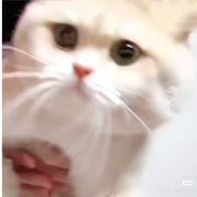 477