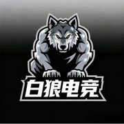 白狼电竞俱乐部