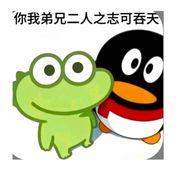 毛毛