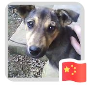 队长别开枪，是我