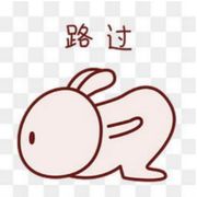一只路过的吃货兔
