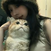 风聆