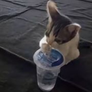 须臾