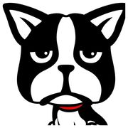 云游子游戏解说