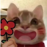 醉赤壁