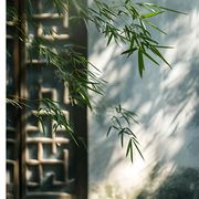 雨落