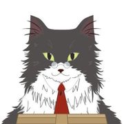 蓝眼睛的布偶猫